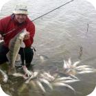 Рыбалка в реке Дон в верхнем, нижнем и среднем течении